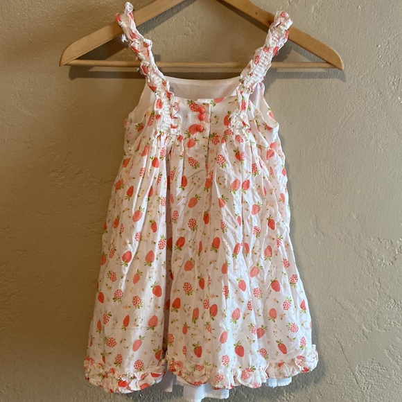 Joie Strawberries & Raspberries Fruit Dress Size 5 - Picture 3 of 8